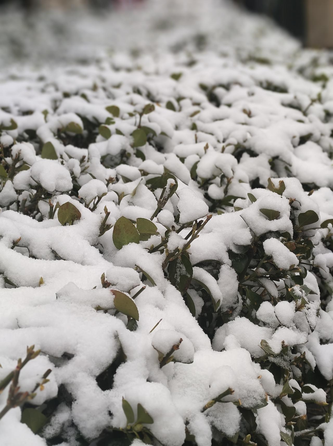 真正的强大，是学会“不在乎”
 
杨绛先生说：我们曾如此期盼外界认可，到最后才知