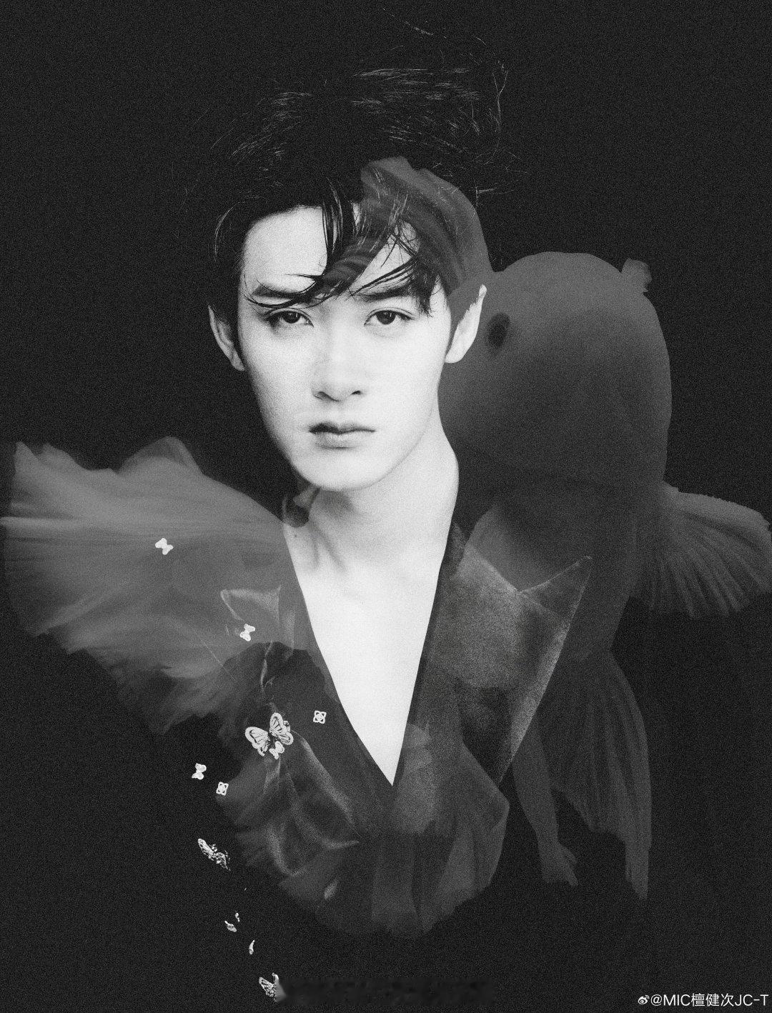 腾讯星光大赏早上就开始出图啦檀健次、陈星旭、丁禹兮这次出图的质量是不是很高？星光