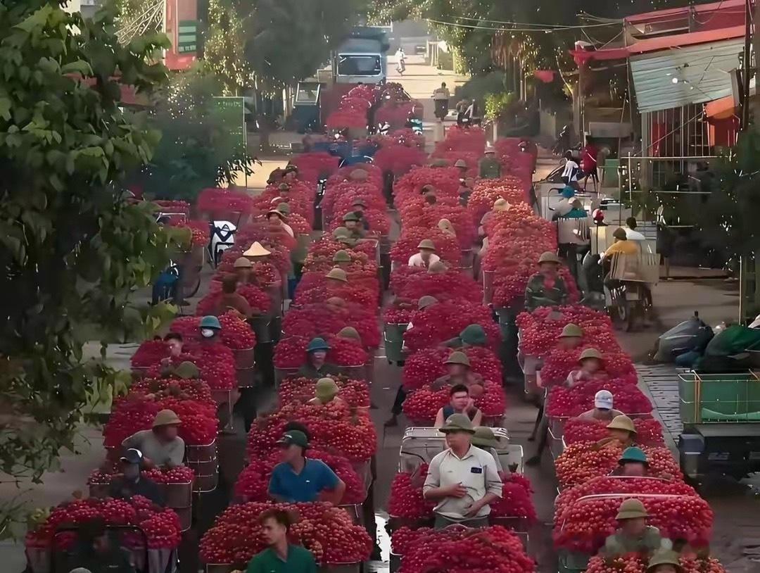 都快烂大街了，为什么还不降价 