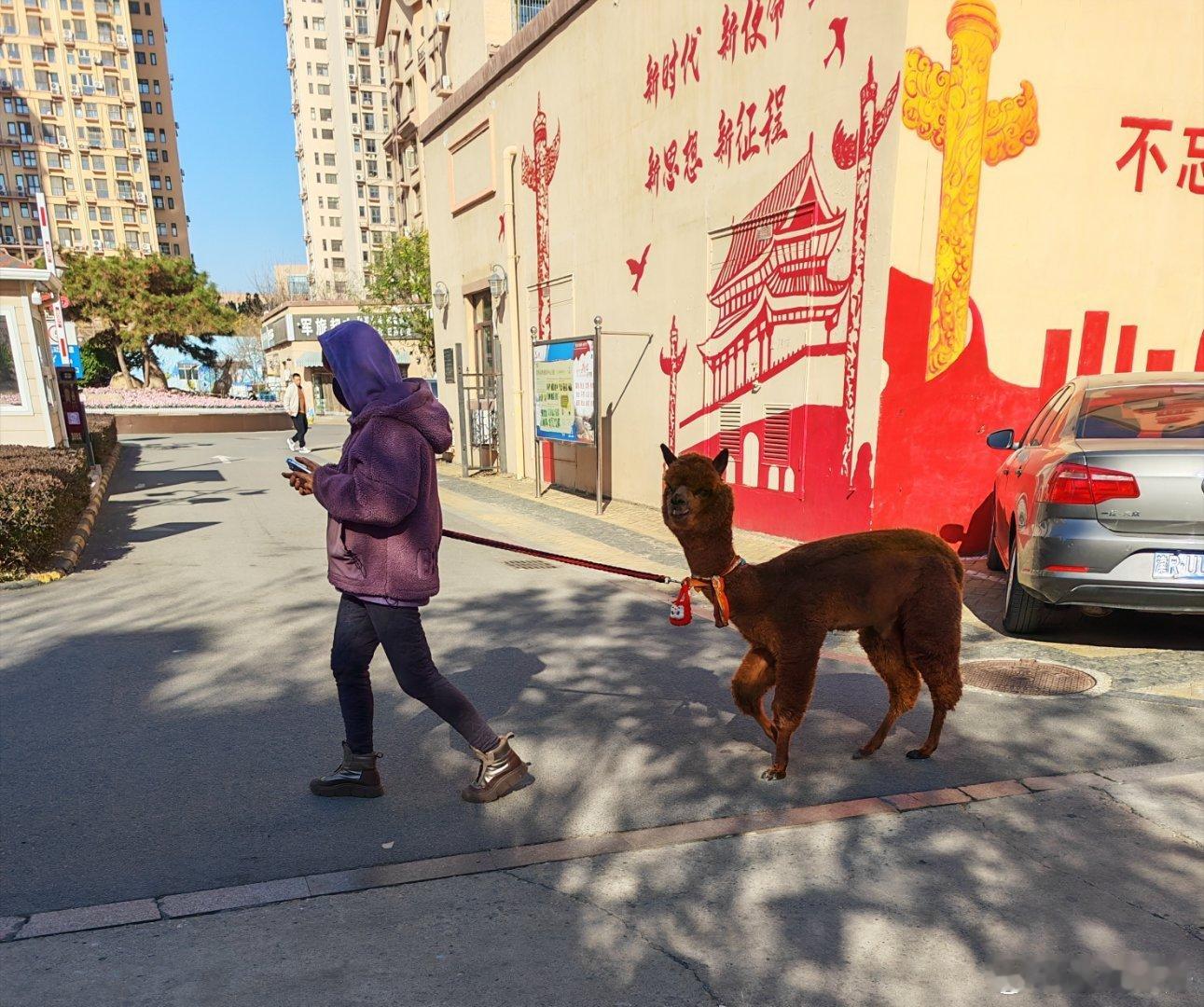 论天津人松弛这一块