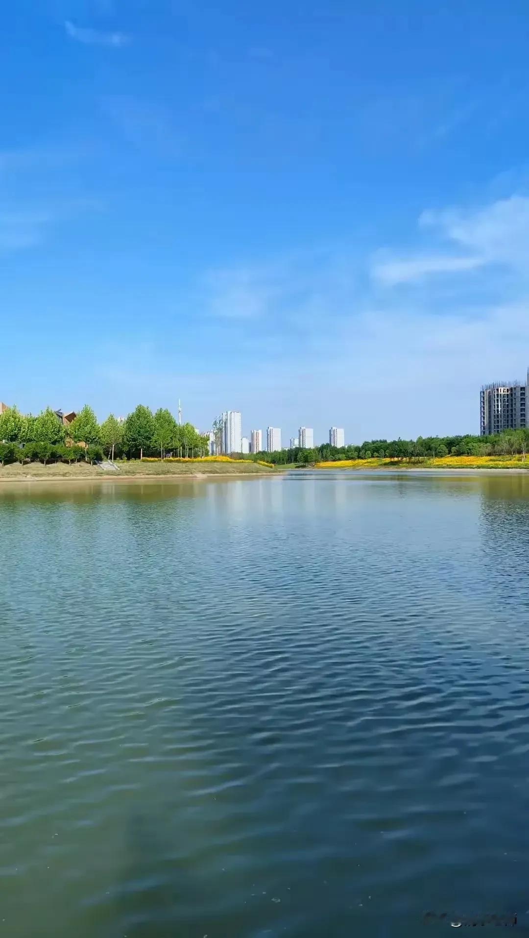 现在核编应按科师比，教师与学科匹配才是正道，1:19的师生比还是上个世纪的老黄历