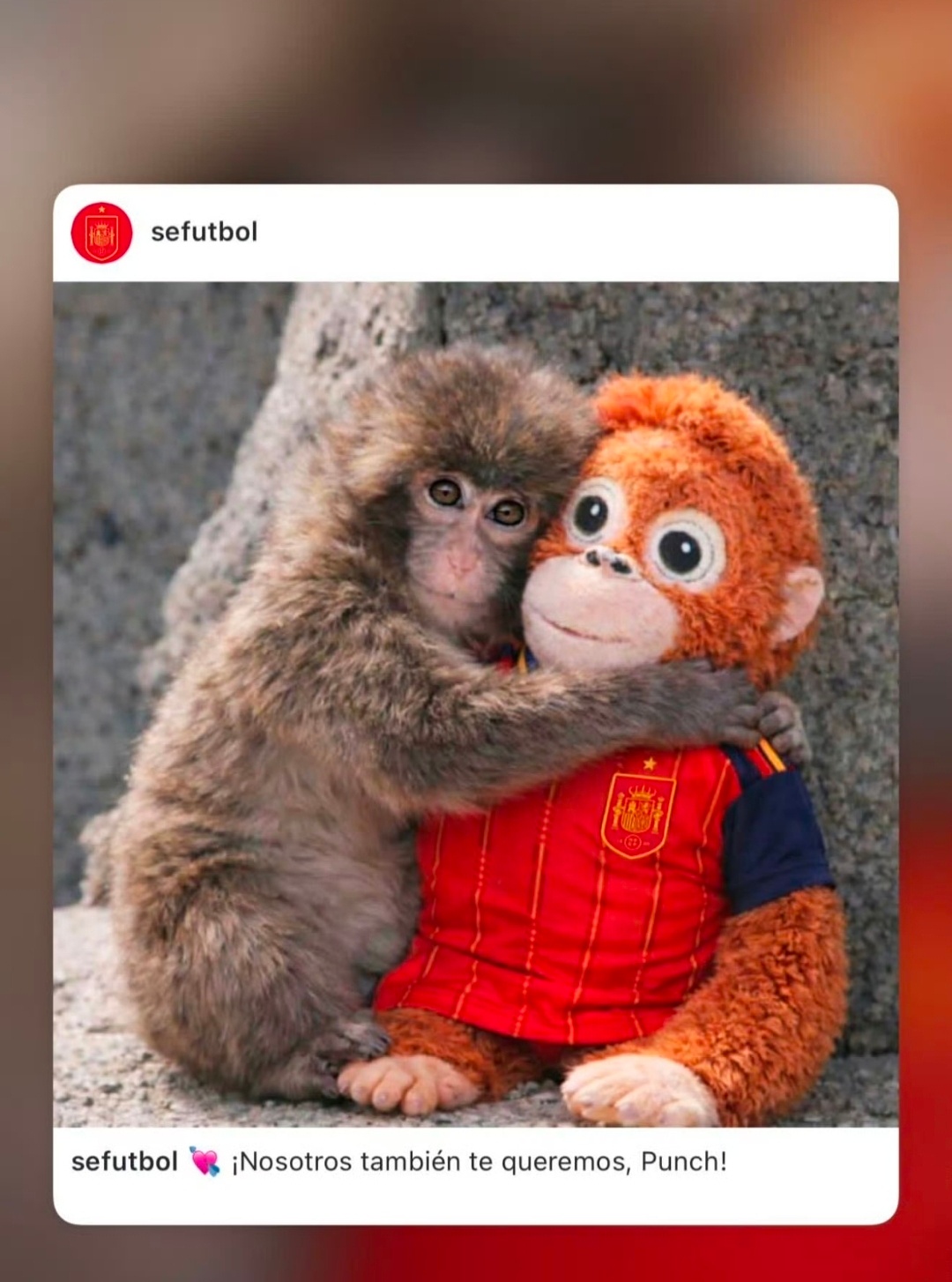 欧冠皇马vs本菲卡无意亲自道歉？赫伊森正常更新社媒，转发西班牙国家队动态北京时间