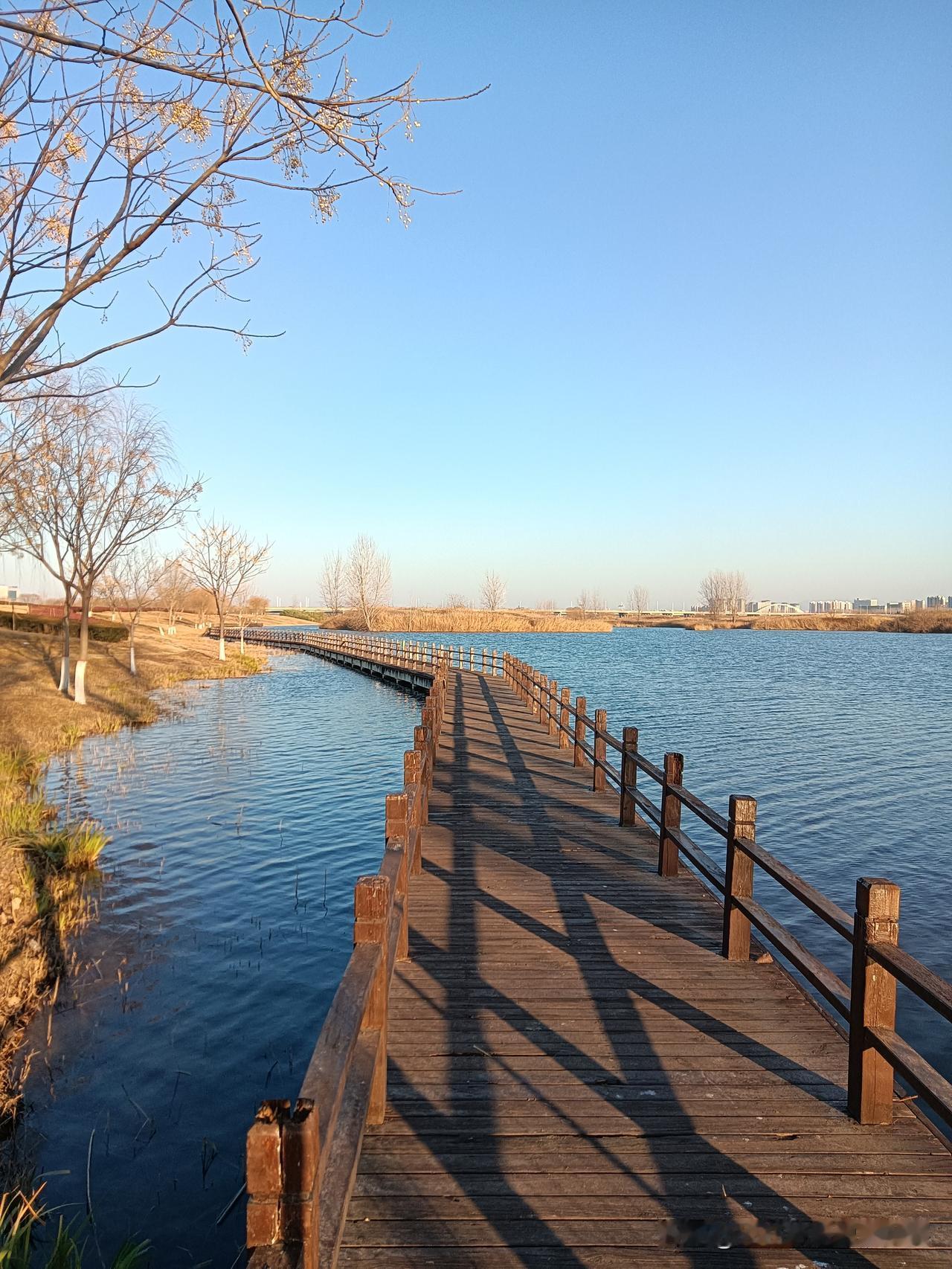 分享一张随手拍西安这个古城，处处都能找到拍摄美片的“机位”！今天下午伴着头顶暖阳