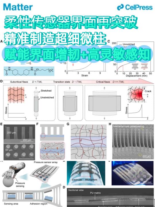 南科大郭传飞课题组柔性传感器界面再突破！