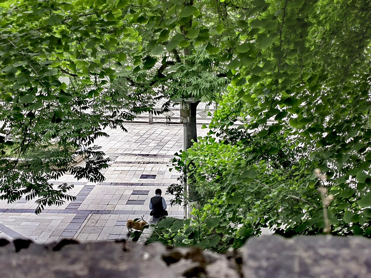 女人到了六十岁
不必在意男人是否爱你
他回不回家也别太挂心
只需好好照顾自己
少