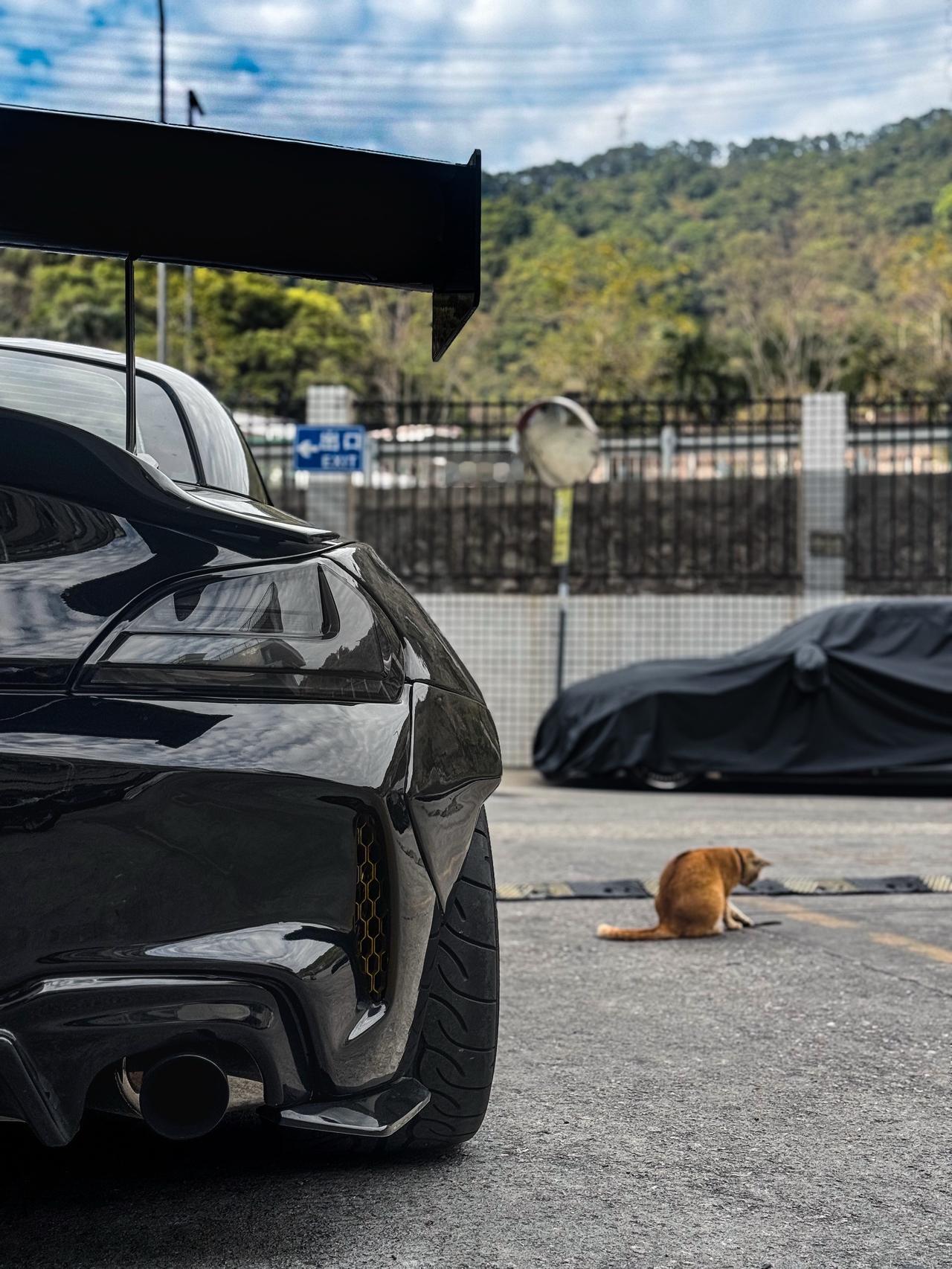 野马车主：@玄子 内燃机永不落幕 宝马Z4 谢尔比gt500 改装车