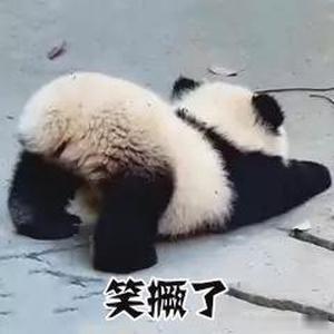 哈哈哈哈哈哈，Boss虽然受伤了，但是今天有个很重要的会她必须来，我下楼去接的她