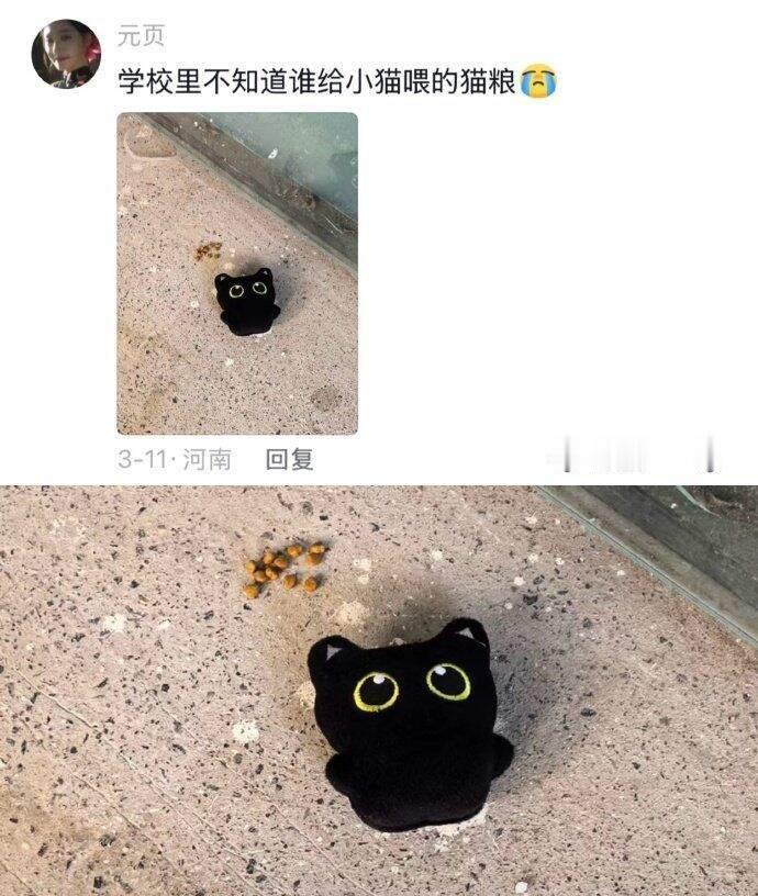 原谅这个世界五分钟 