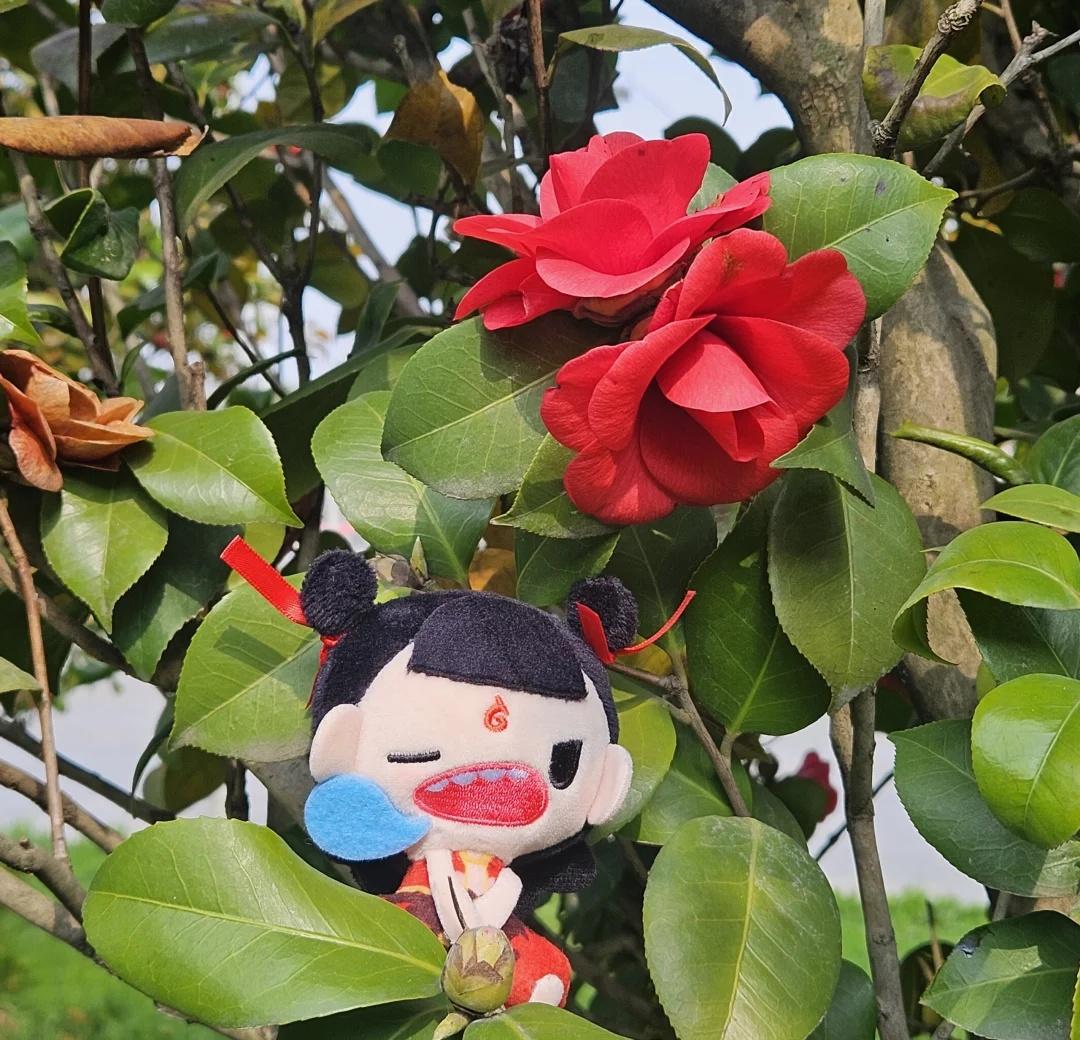 在这里睡觉就不会被打搅啦´༥`