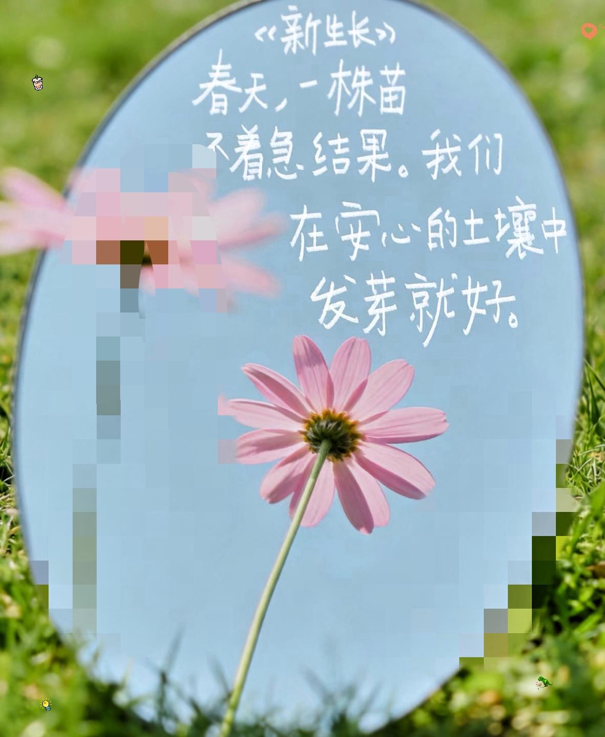 社会学家说:：“现在最严重的问题，已经不是00后不结婚， 
90后不生娃，

而