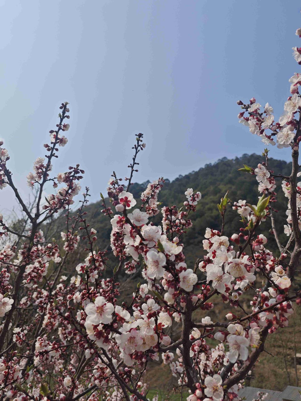 我的今日状态：😁轻松愉快
我这里的天气：☀️晴天