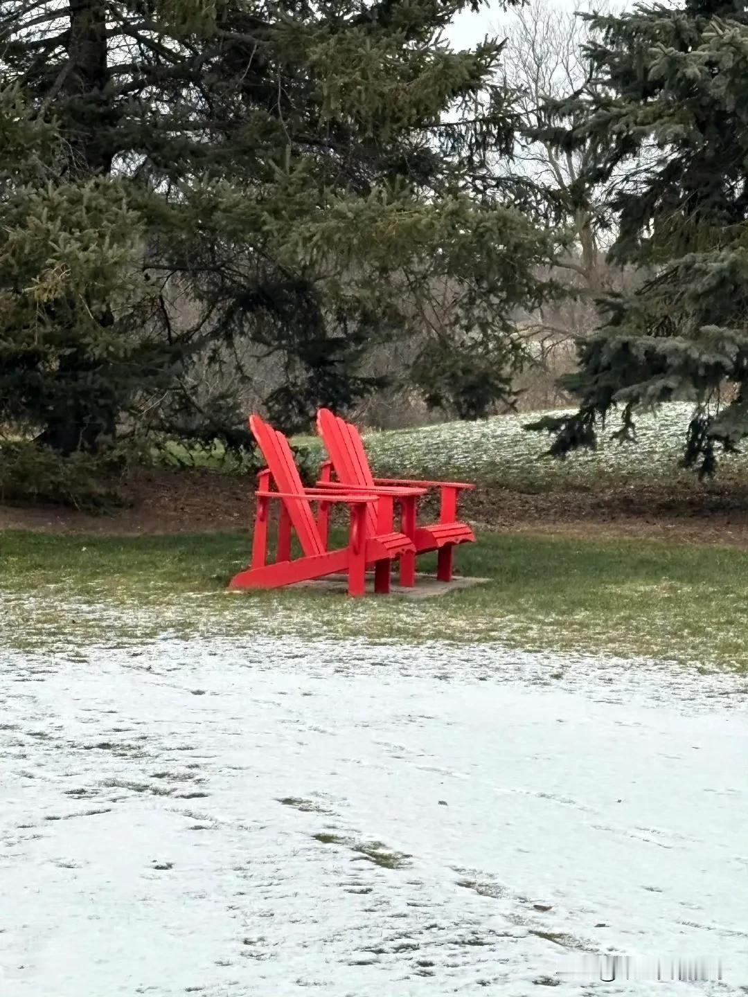 我导师在加拿大拍的红椅子，和雪野毫不违和，是宁静中的热烈，寒冬里的生气。