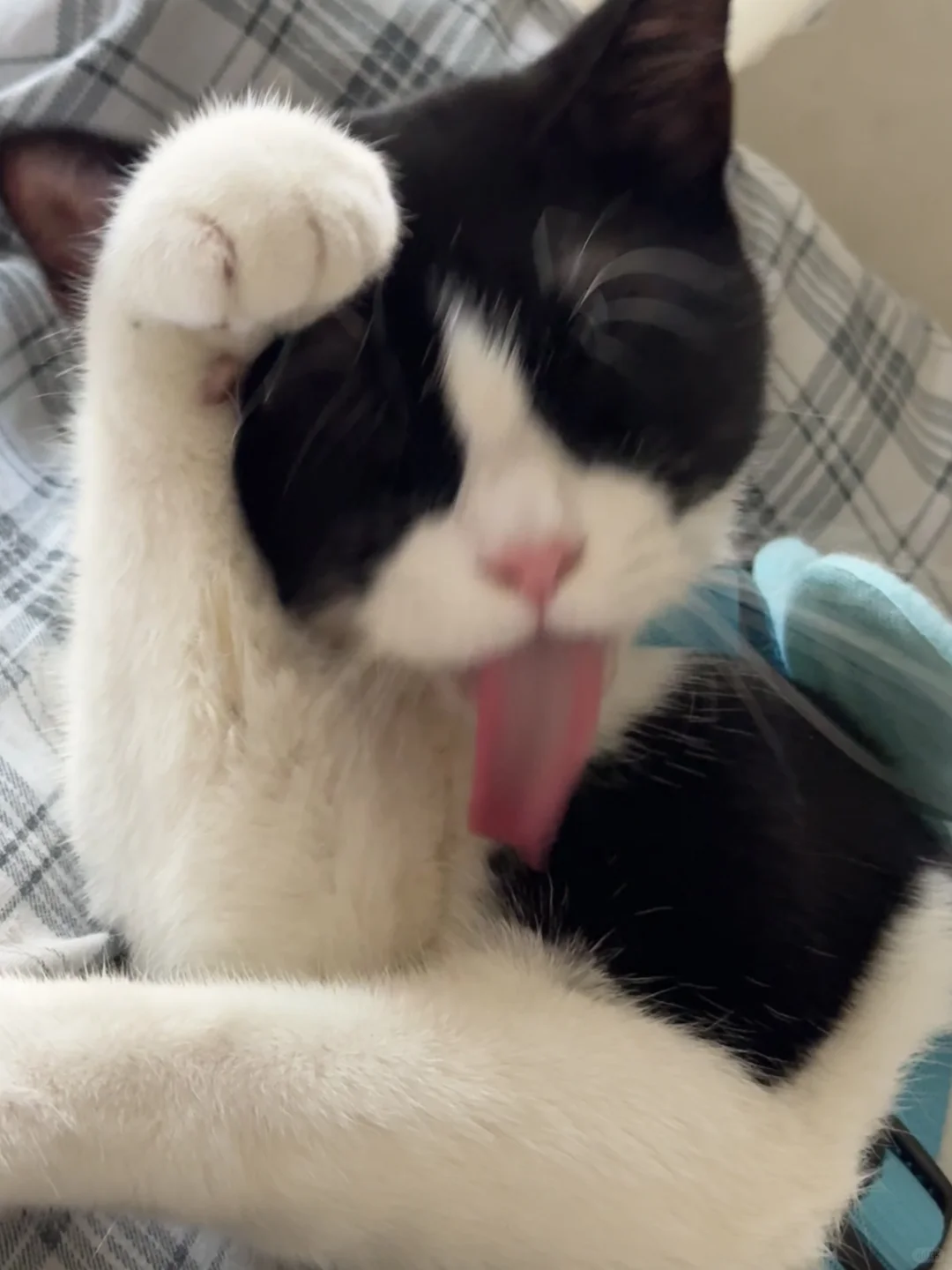 谁教你这么拍的！