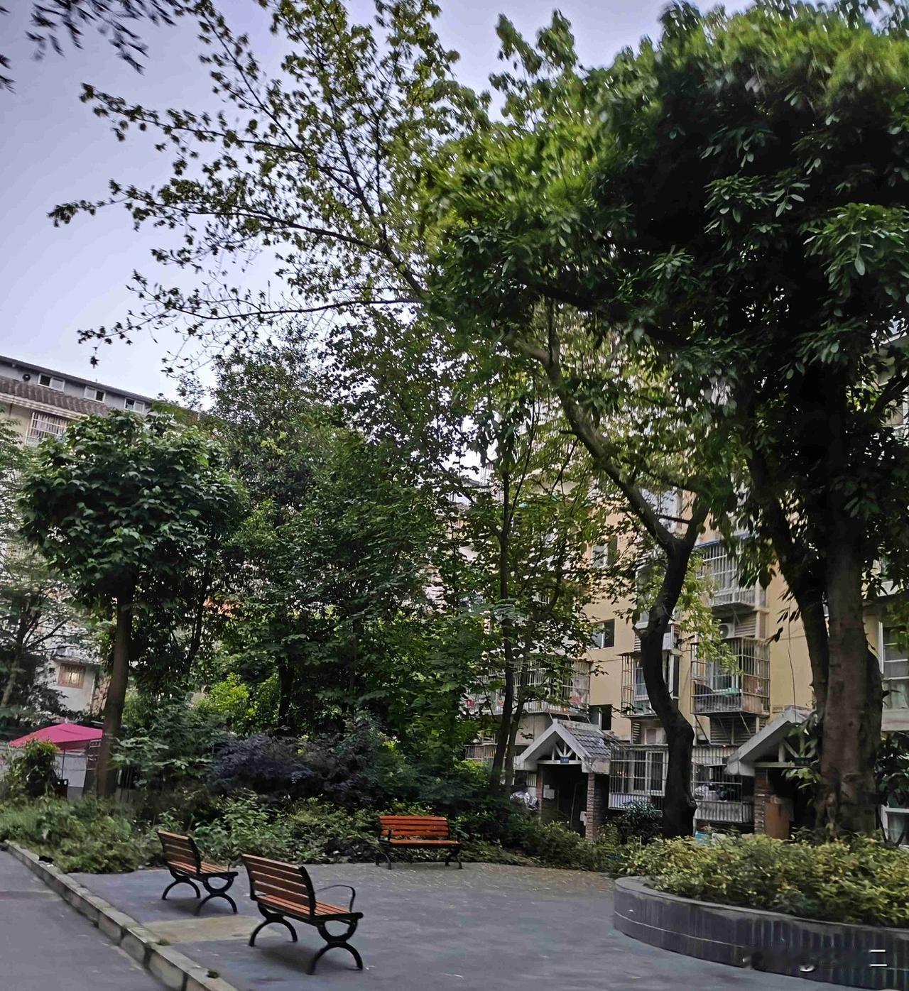 我的今日状态：😁轻松愉快
我这里的天气：☁️阴天

小区的小广场被绿树环抱，三