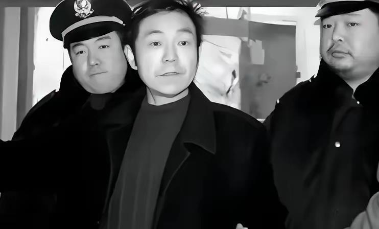 1998年，西安17岁的高明，被同学带头霸凌致死，父亲高德隆在失去儿子之后选择了