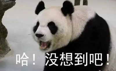 【你的保温措施，都是植物玩剩下的？】在人类历史上，面对寒冷并不是一开始就这么惬意
