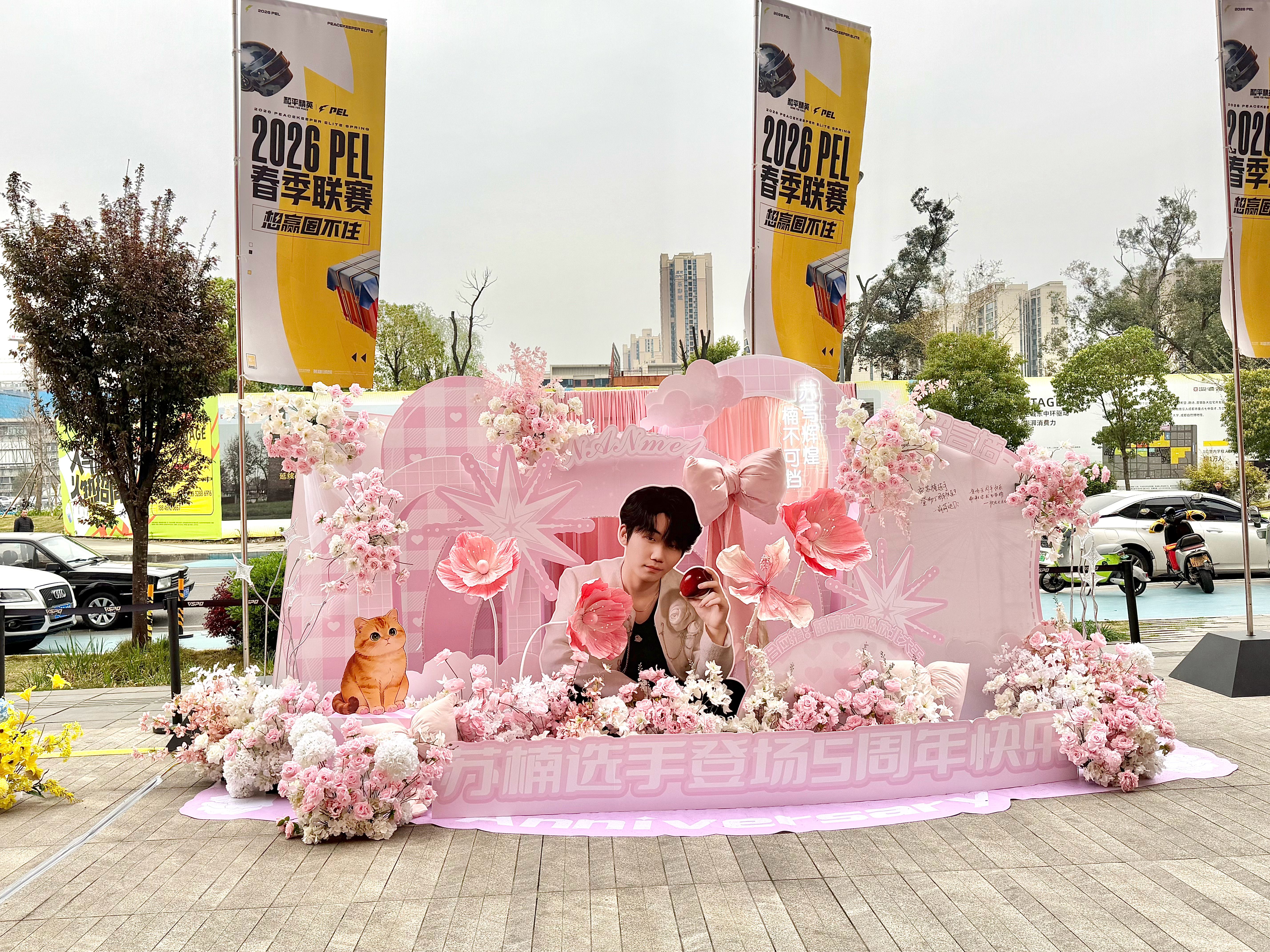 PEL春季赛第四周突围赛 五周年快乐🍒2026pel春季赛pel