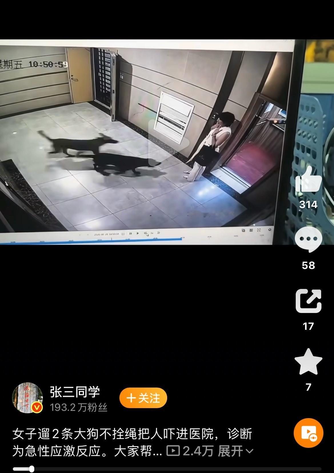 无论怎么爱狗，遛狗要牵绳这是基本常识！女子遛2条大狗不拴绳把人吓进医院 ​​​