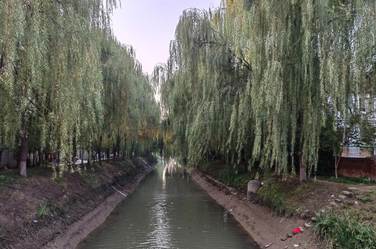 谁家没有几个穷亲戚，有穷亲戚不可怕，可怕的是被“黏”上了。
有个同学，家庭条件在