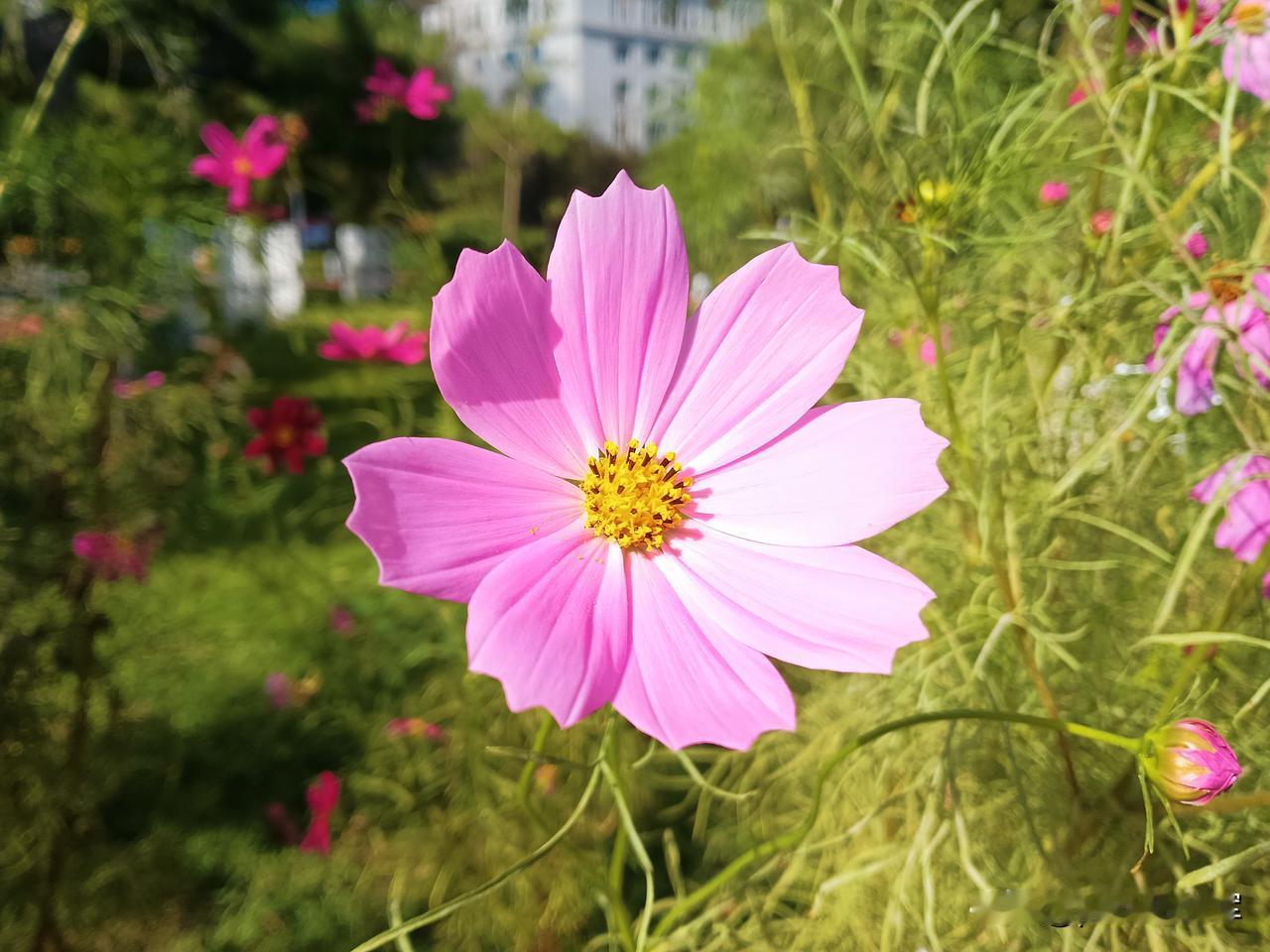 牛奶
记得在南方时，小腿有时抽筋，我便喝上两箱牛奶，这个毛病就好了，牛奶补钙。