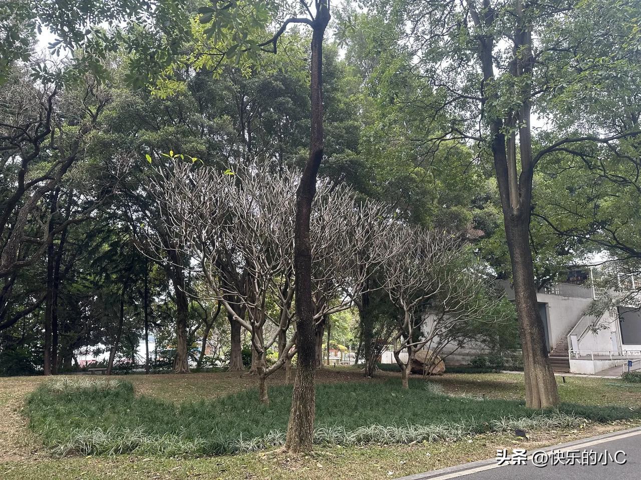 这话当然是对的啊，可以说简直是大实话。

你想啊，咱们活在这世上，每天得跟多少人