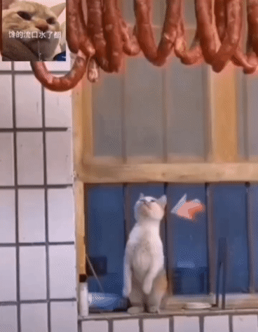 叫妈没用，你天是会飞墙走璧吗，想吃自己拿[灵光一闪]