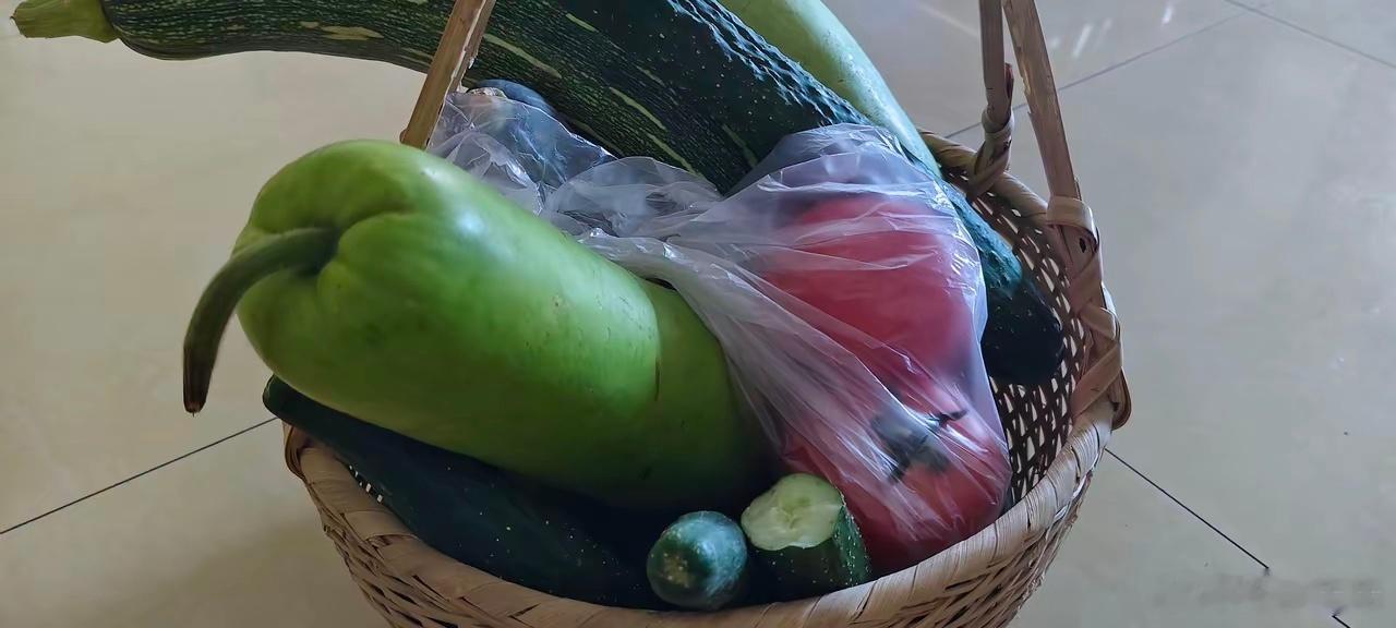 不要跟风，并非不必准备这两天因为台风，超市中的一些蔬菜🥬和食品被抢购一空。生活
