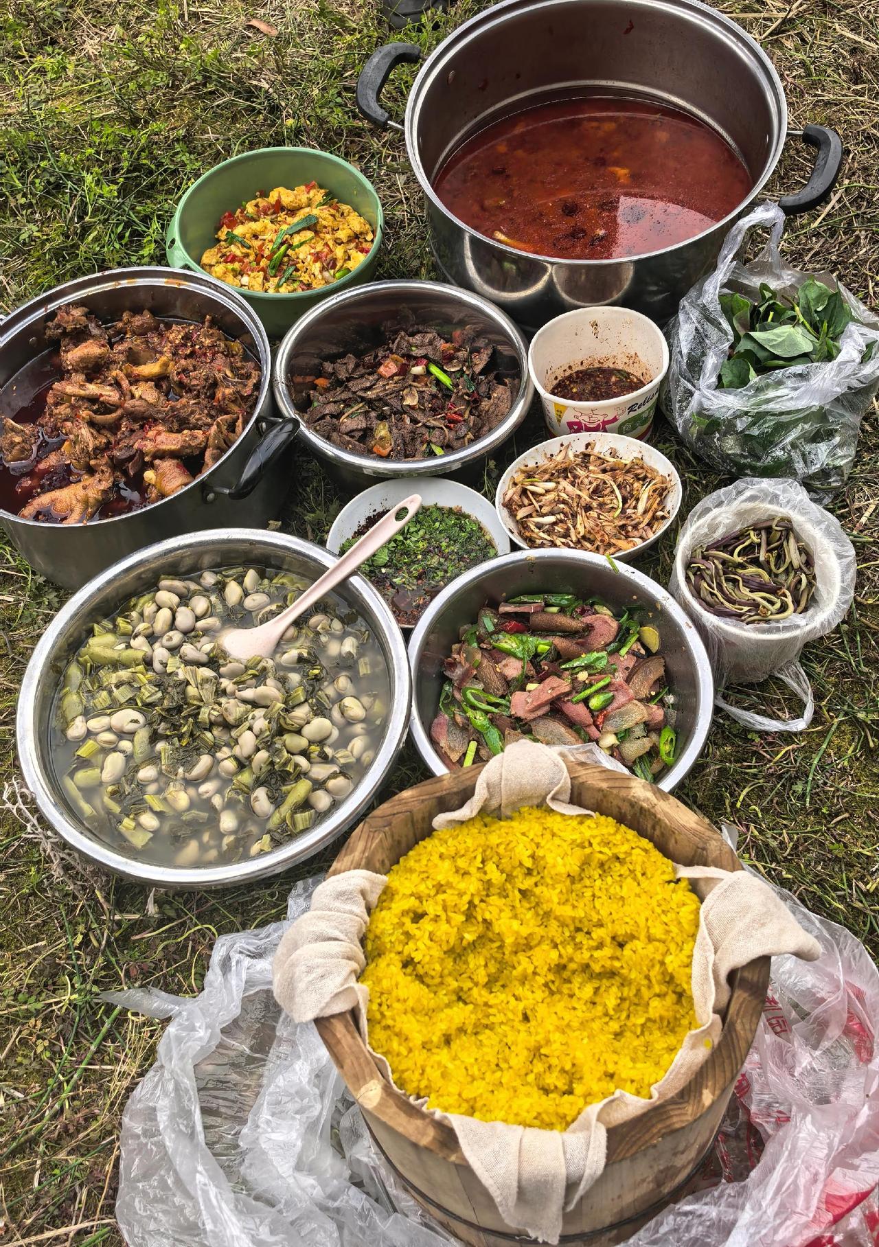 今天下午，我们一家老小20多口人到老家小河边踏青野炊，黄米饭、火腿肉、山野菜，还