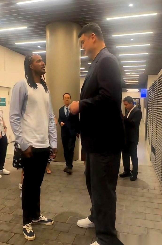把一个身高2米03的猛男，衬得像个小弟，需要什么条件？
让姚明站他旁边就行。
还