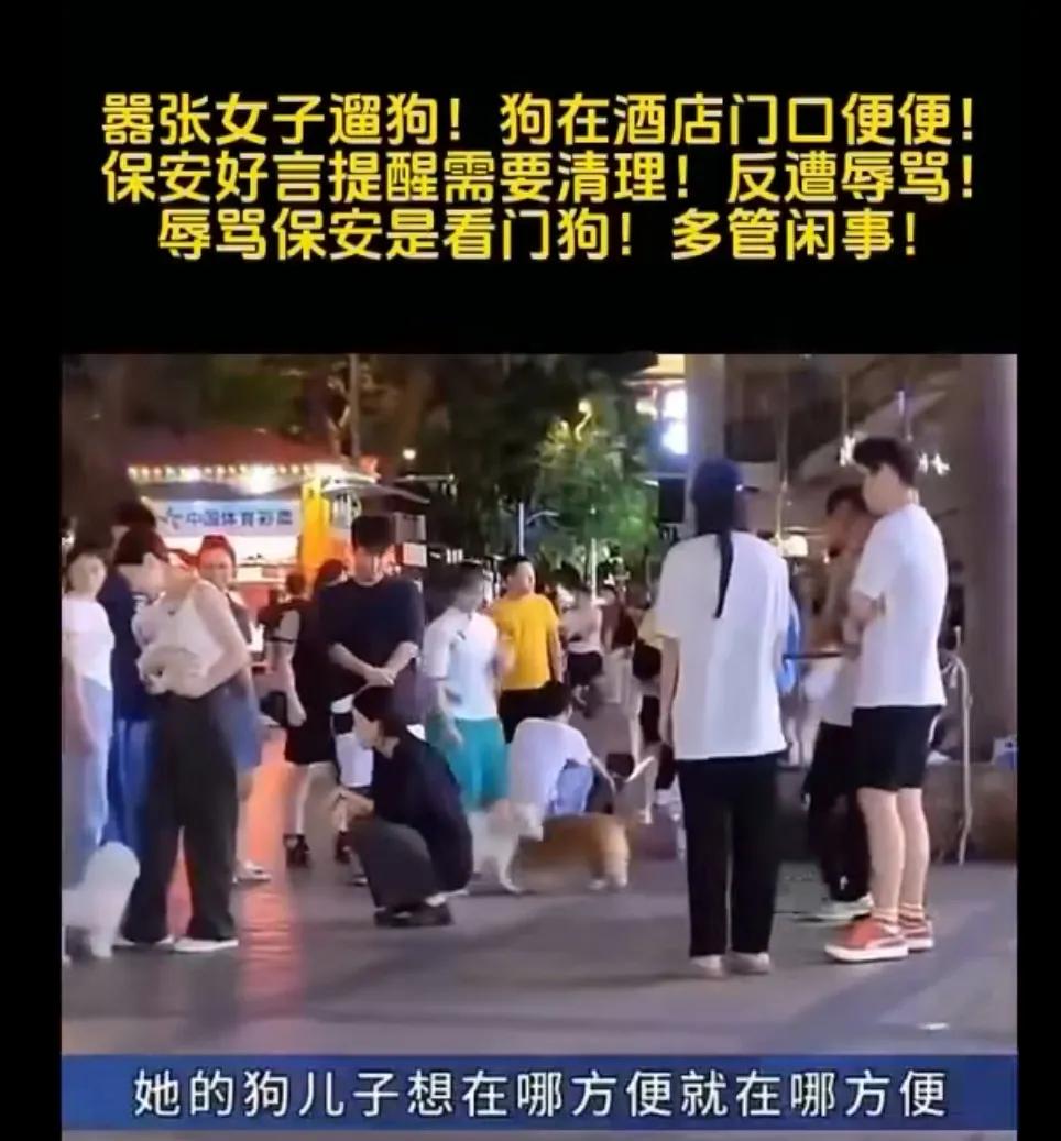 狗在酒店门口便便!保安好言提醒需要清理! 反遭辱骂!辱骂保安是看门狗!多管闲事!