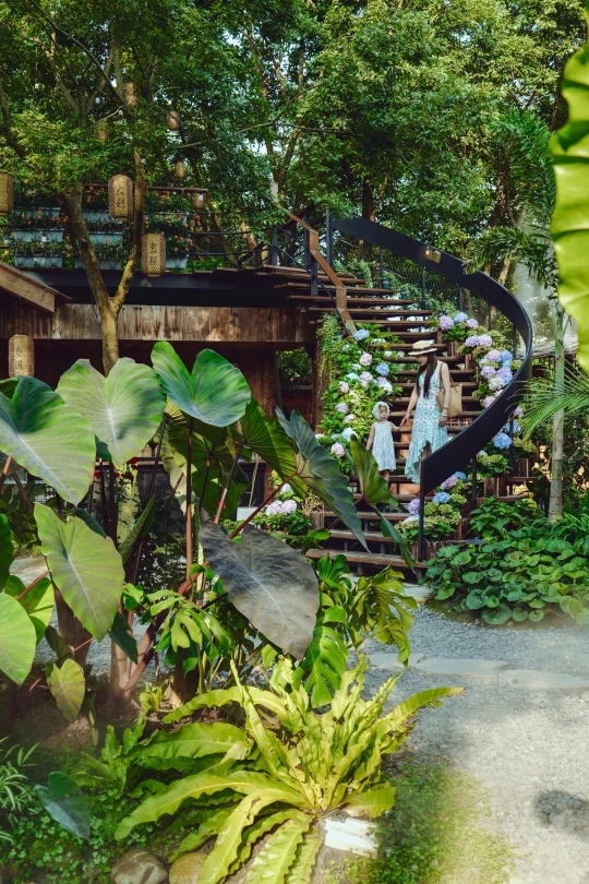 新开🌴 藏在郫都的东南亚风迷雾森林餐厅