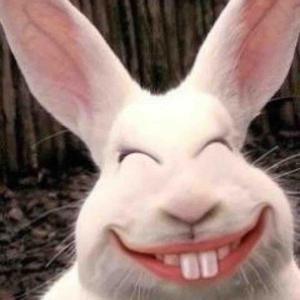 一位投资者晒出截图，重仓新能车ETF拿了221天，收益率接近80%。
他总结了一