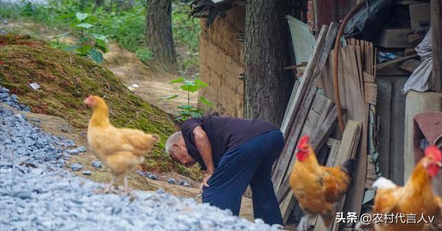 62岁回村住了三月，才懂：农村环境再好，有些东西再也回不去了。
 
去年春天，我