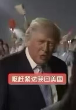 我踏马看着这张图笑尿了知道吗 