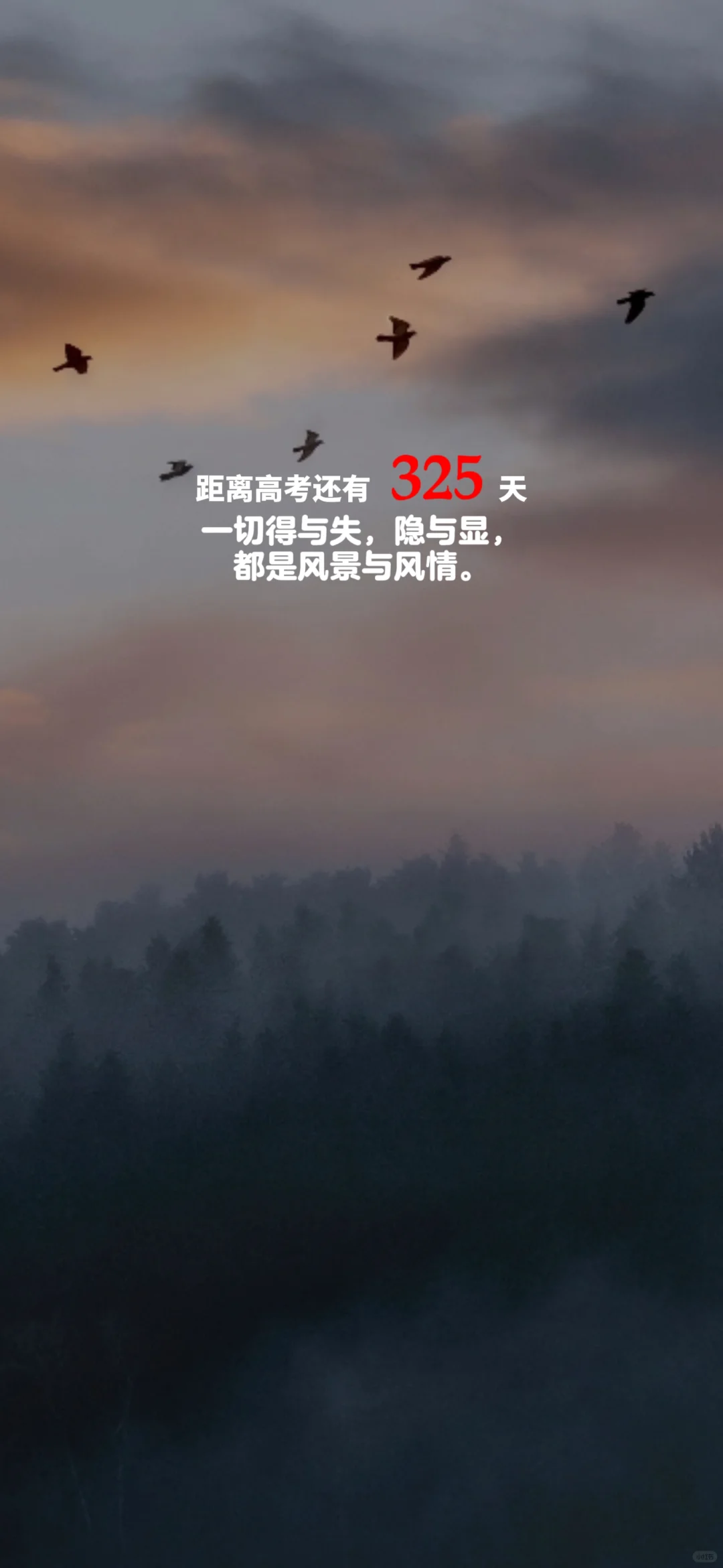 2025高考倒计时，每日更新。