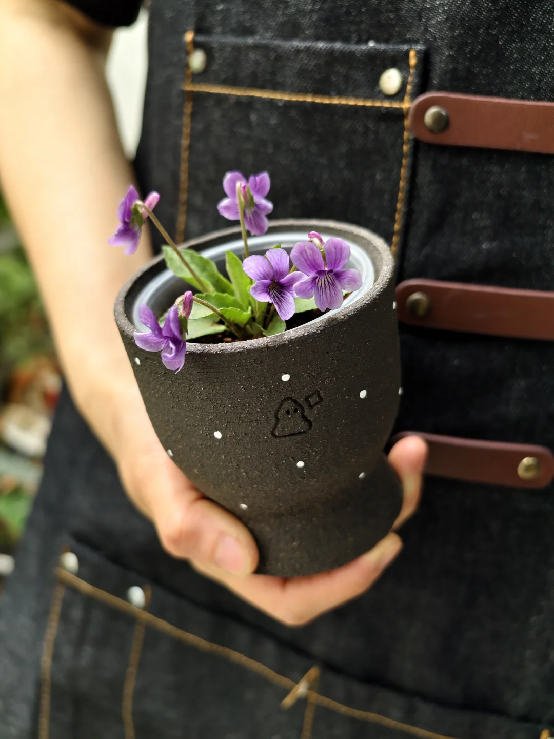 春天收获了一杯0元购小紫花💜