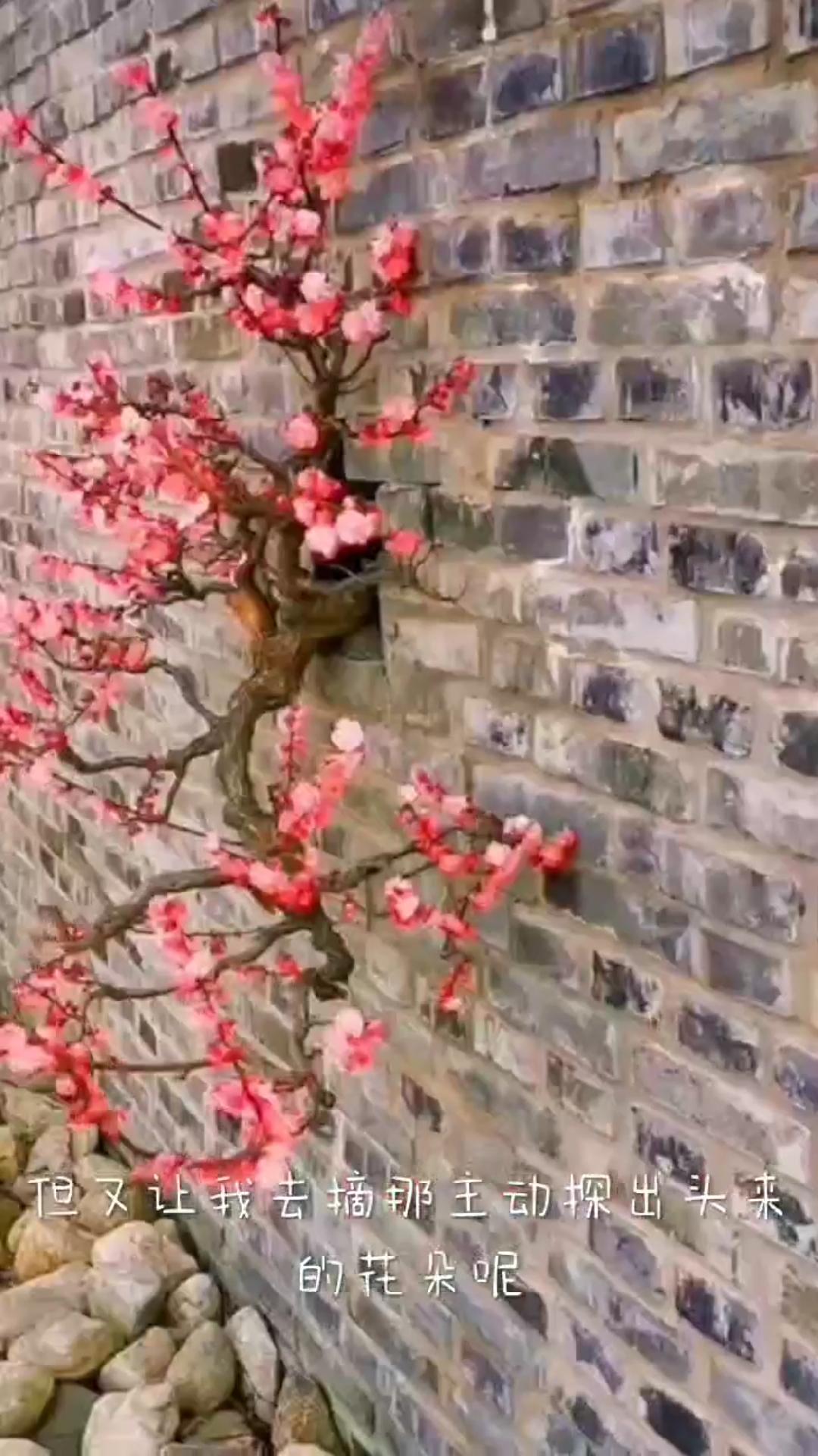 下联： 红杏出墙惹风流。

（图片来自网络）