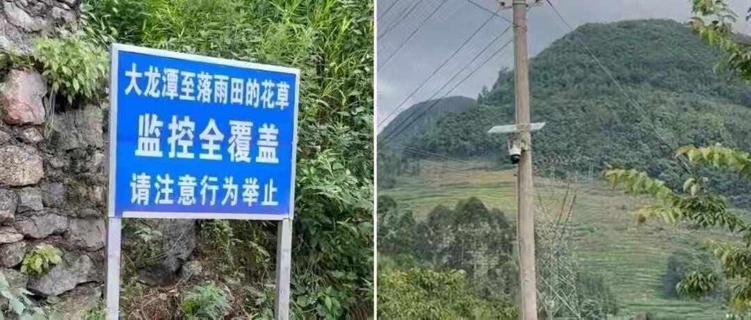 两公里装20多个摄像头！云南曲靖一村庄密集监控引争议，当地干部回应：画面仅村干部