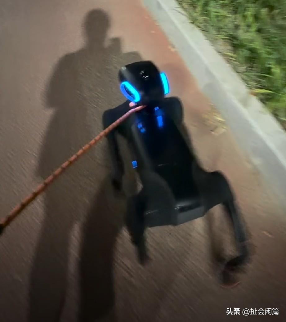 9988，买一个这样的电子玩具，值吗？
当然它比电子玩具要智慧的多，能提供情绪价