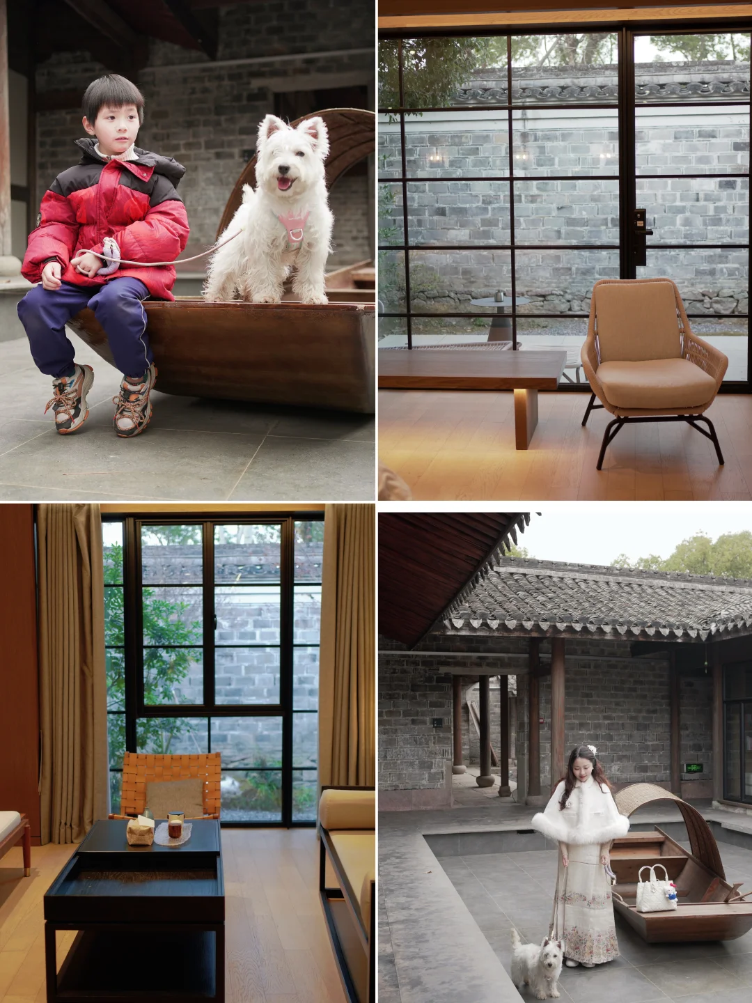 宁波慈城的大乐之野也太懂亲子养宠家庭了吧