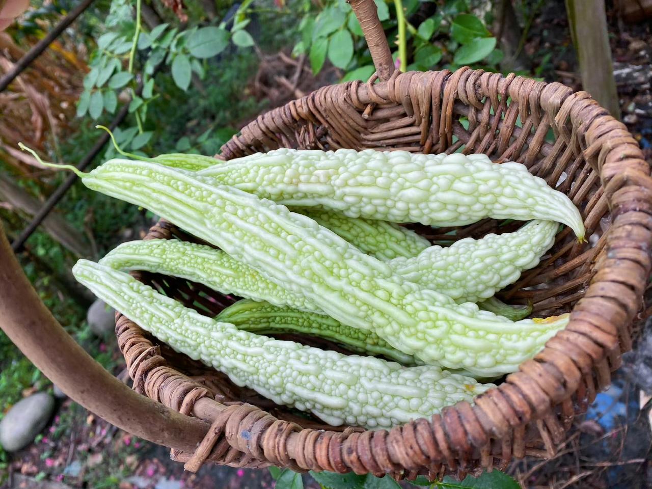 “舌尖上的田野 ”…