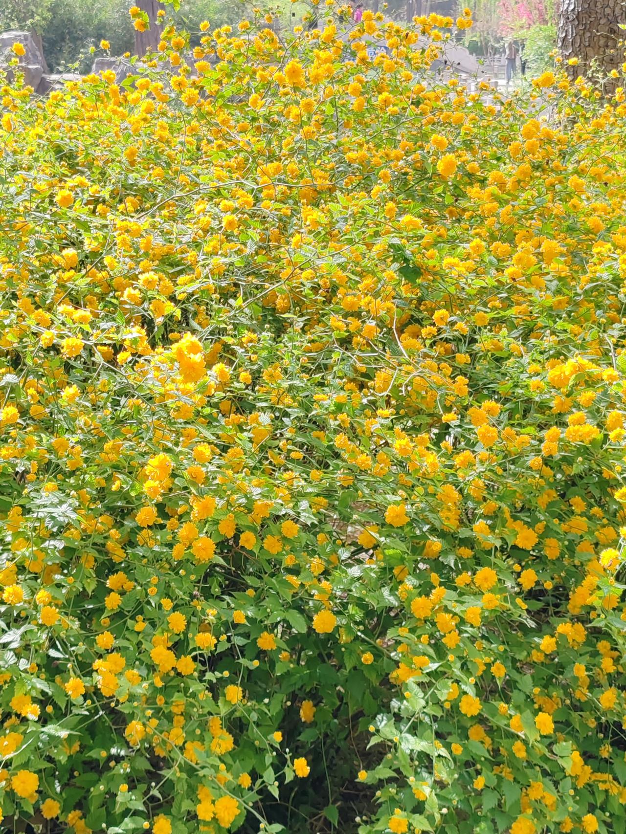 孩子有什么本事都使出来，想在体制内发展就在体制内，想在体制外闯荡就在体制外。总之