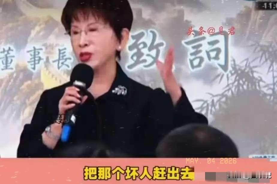 “把那个坏人赶出去！”洪秀柱今天（5月3日）上午出席侯汉廷新书发布会时直言，“这