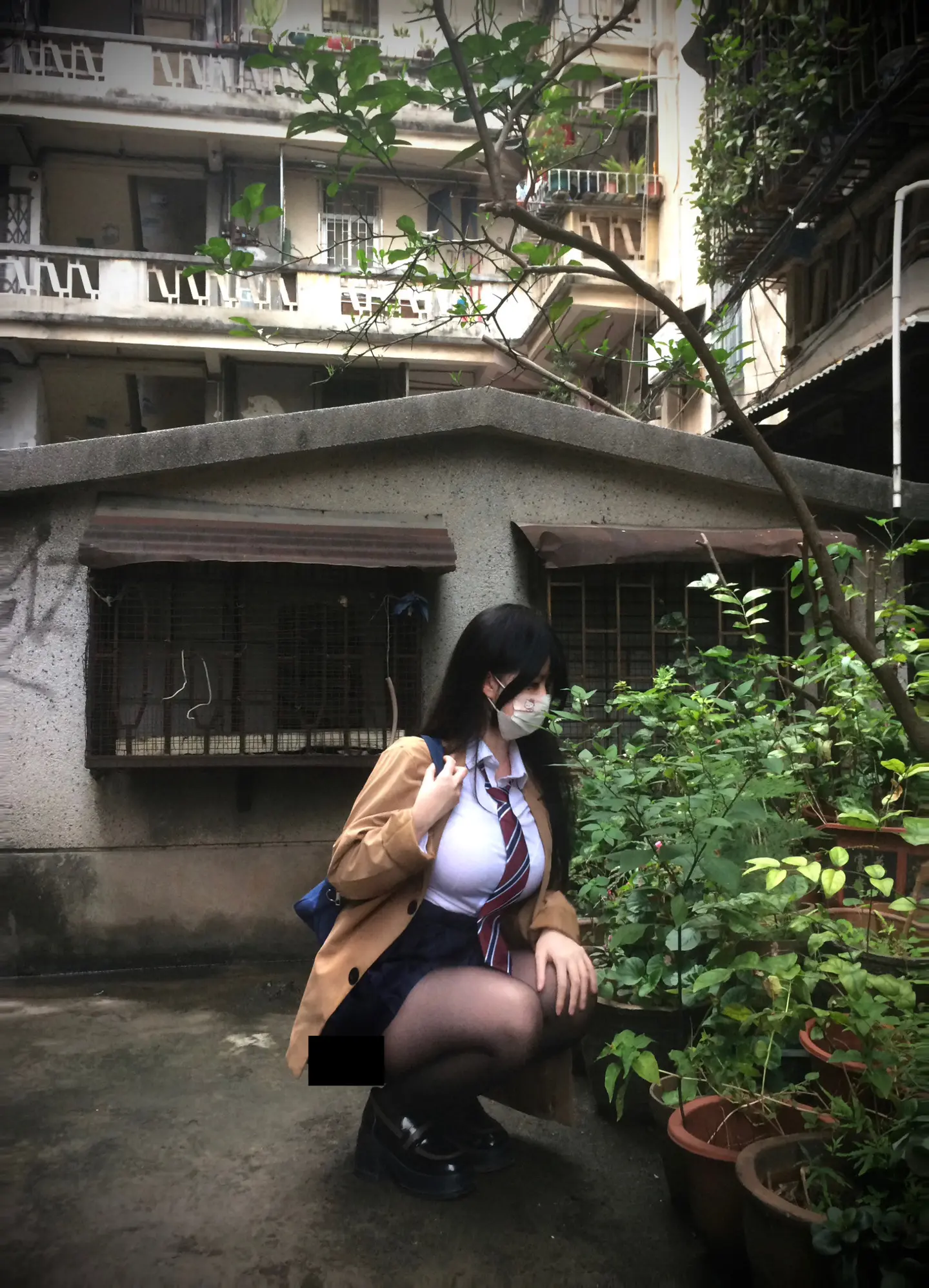 门前老树长新芽 院里枯木又开花