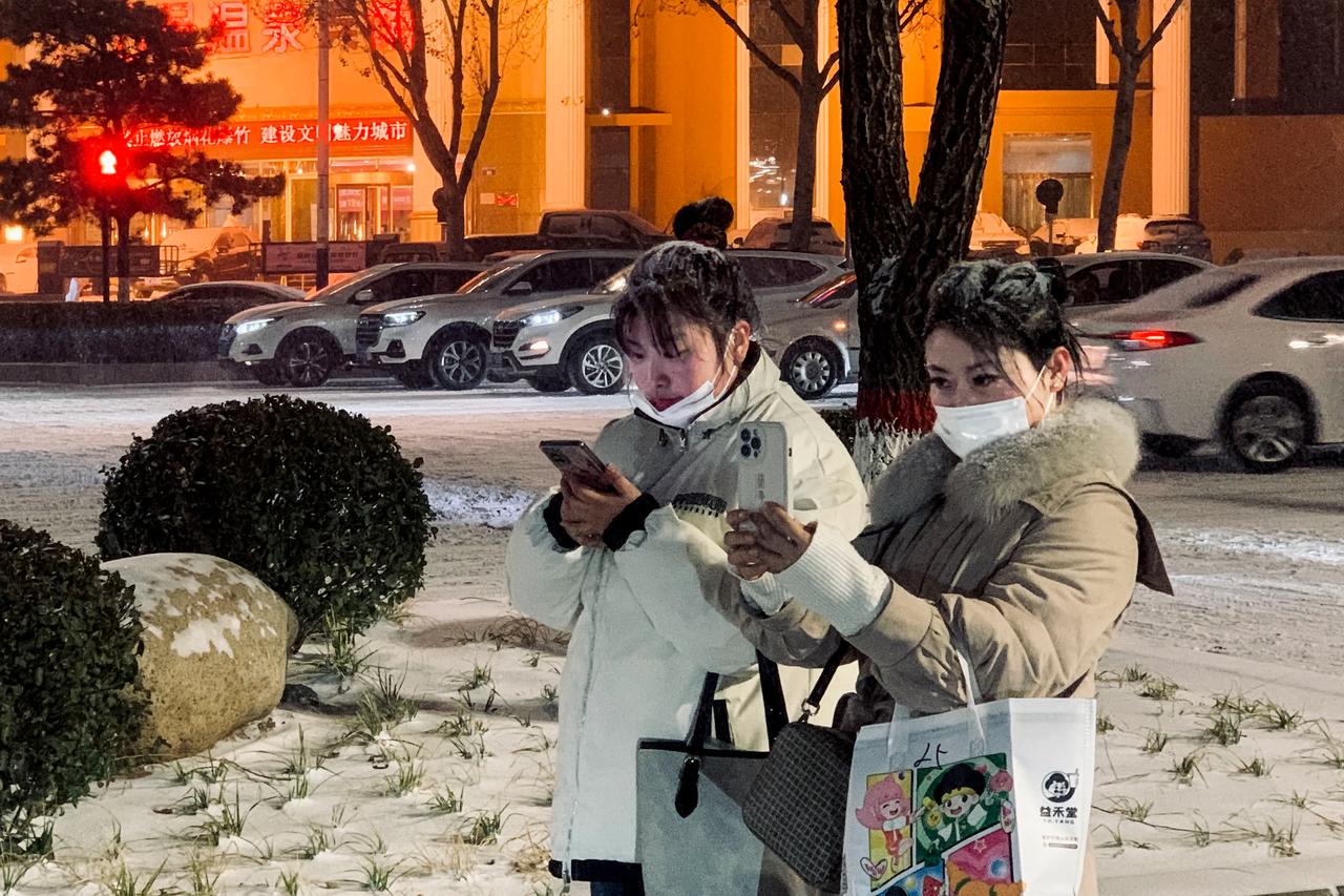 陪客人回来，终于见到小岛来了一场像样的雪，属于瞬间“白了少年头”的那种。遗憾的是