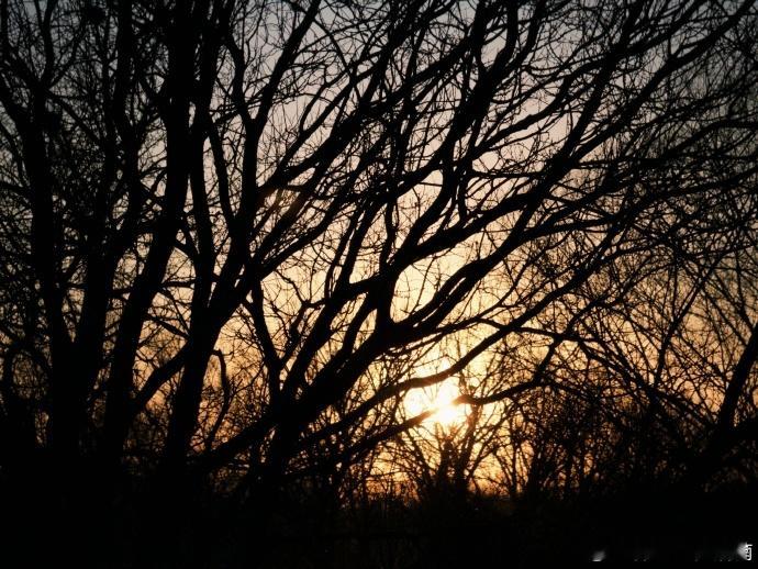 何浩楠一次下午的转场去工作  何浩楠一次晚上的飞机  新相机见证何浩楠下午转场工