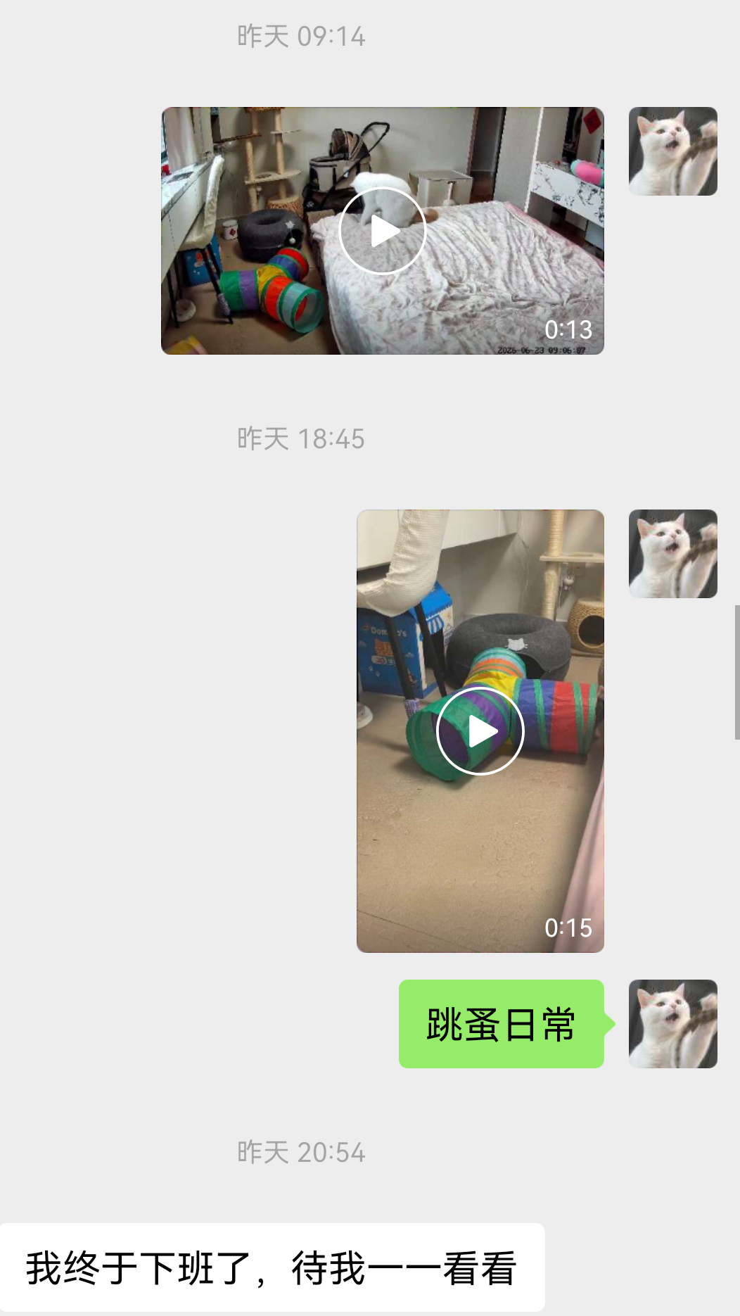 救助人每天下班开始批阅小屁孩今日动态我之前就跟她说，我晒猫分享欲很强的