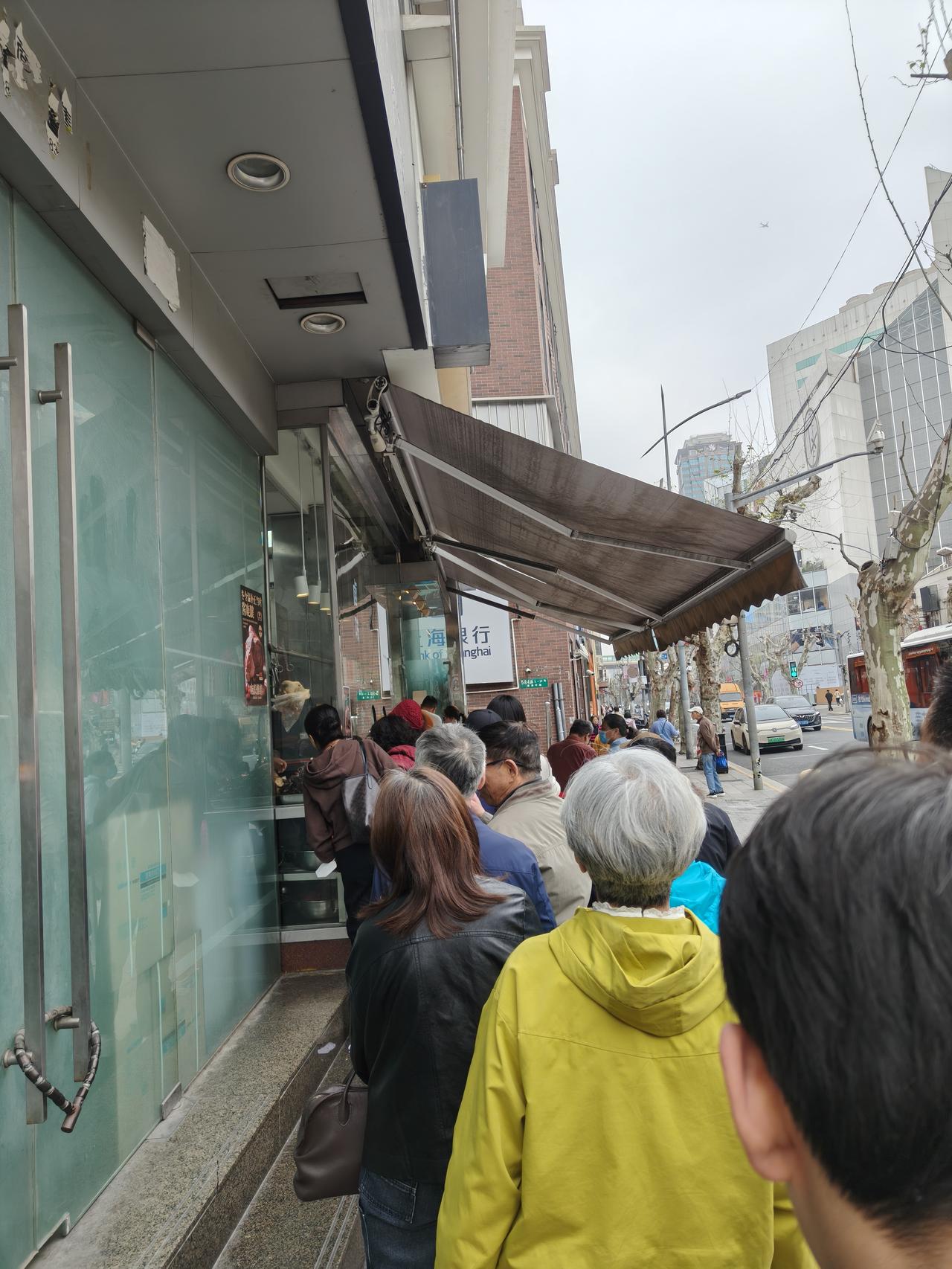 一大早去光明村排队，猛然发现，梧桐树被砍成了这幅样子，这还会是曾经的梧桐区林荫道