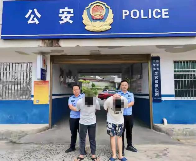 关于湖南邵东两名诈骗团伙骨干被逮捕的事件，可以从以下几个方面进行分析：

一、案