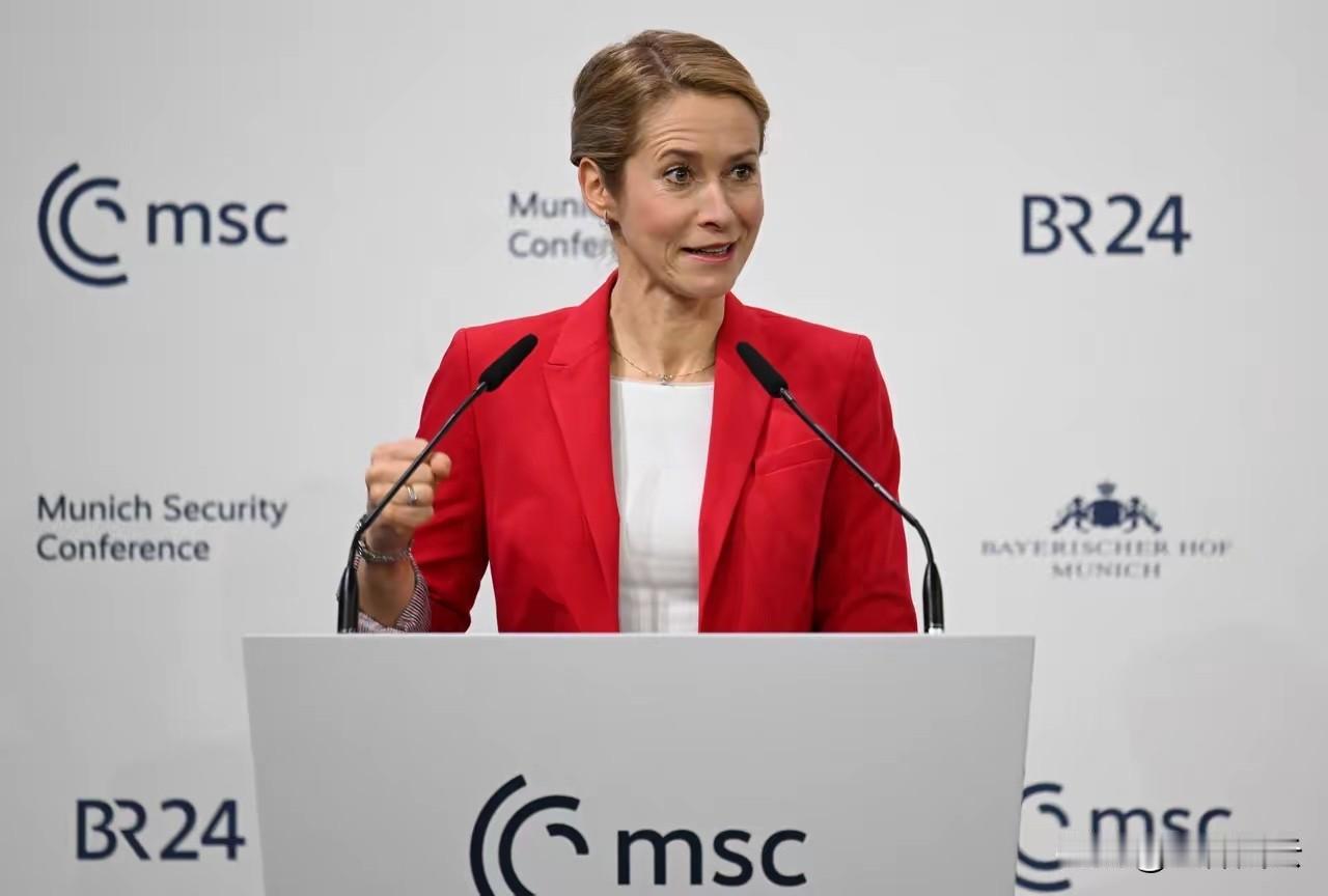 卡娅·卡拉斯，欧盟委员会副主席兼外交与安全政策高级代表，欧盟2号人物，真的是朵奇